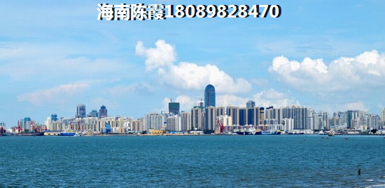外地人去海南购买房子过冬哪里划算，海南养老房子怎么买醉好？