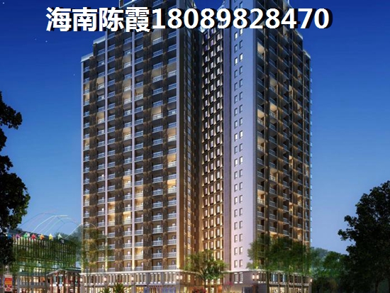 2023海南海南的房子还能生纸吗？