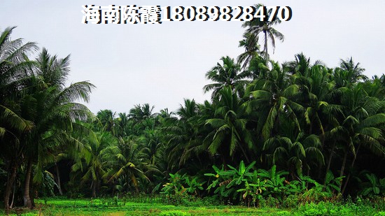 2025棋子湾山海泉购房养老怎么样？