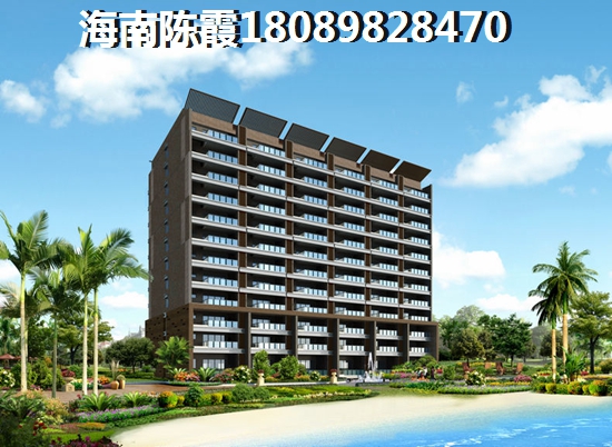 海南醉有价纸的房地产touzi